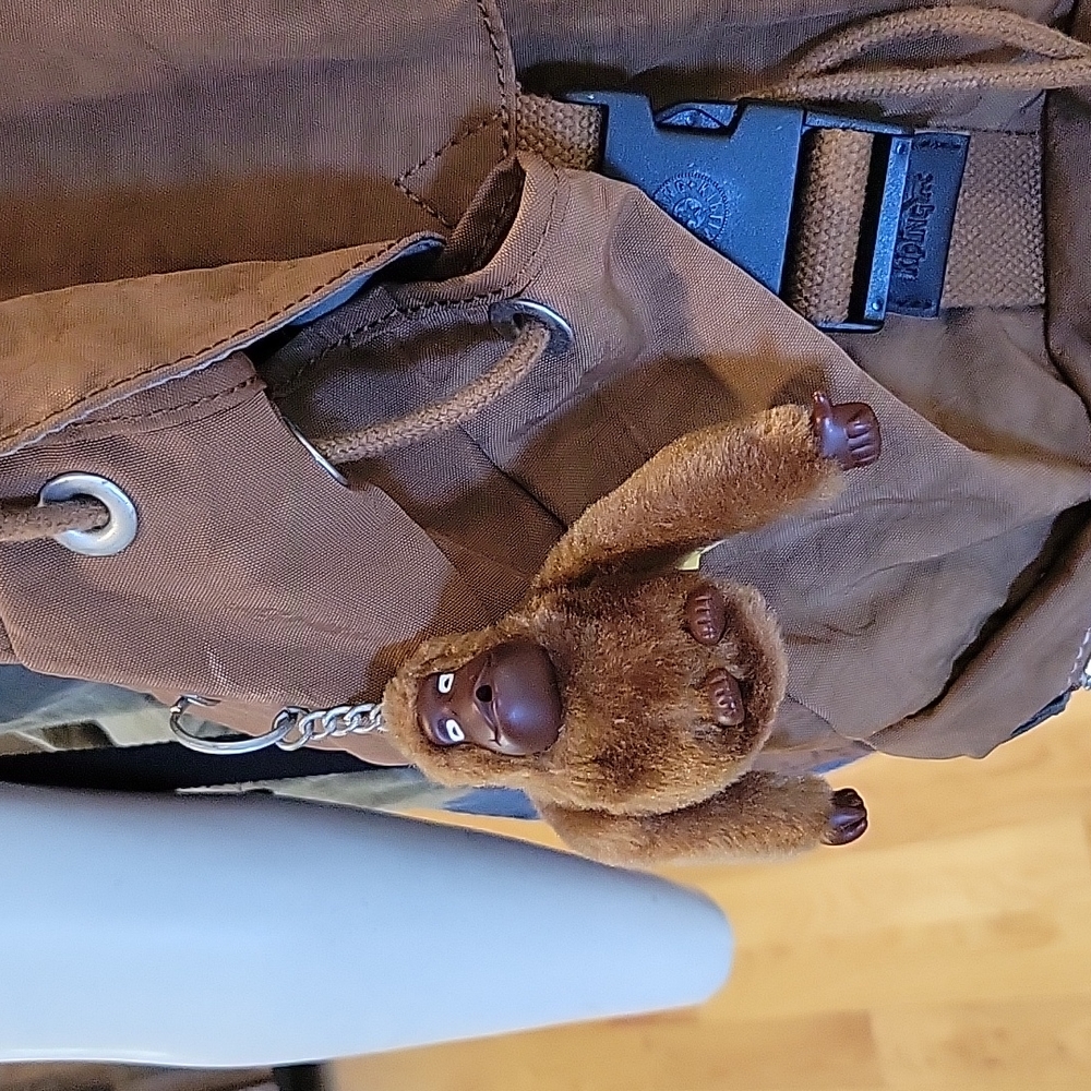 Kippling Brown Backpack - Picture 2 of 16